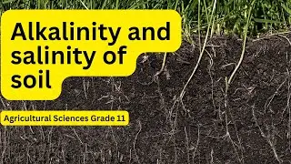 Agricultural Sciences grade 11: Alkalinity and Salinity in Soil