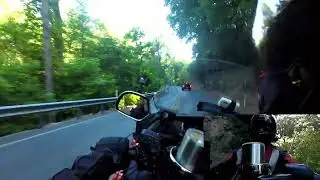 JAMAICAN FERN GULLY ROAD FEEL IN PENNSYLVANIA