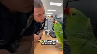 🦜Stealing the Spotlight from Your Dusty Haircut! 😂 Parrot Roasts Police Officer During Arrest