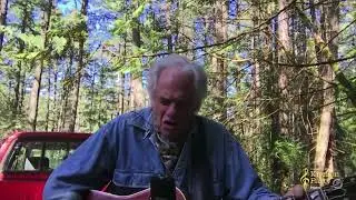Fly at Night by Bill Henderson (Chilliwack)