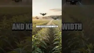 Drones Data and Drought Edge AI Swarms Transforming Precision Agriculture