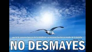 amarte solo a ti senor Jesuscristo. INSTRUMENTAL