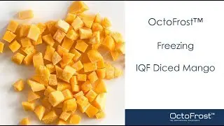 OctoFrost Frozen - IQF Fruit: Mango