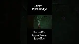Stray (2022) - 4K60FPS - Plant Badge - Plant #2 - Purple Flower - Location