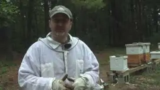 S02E11 - NIE kratom odgrodowym i 50% Flow Hive success