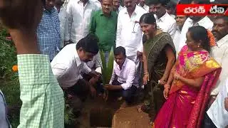 MLA Gadhari Kishore Kumar participated Harithaharam in reddygudem village