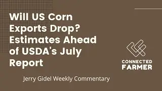 Will US Corn Exports Drop? Estimates Ahead of USDA's July Report