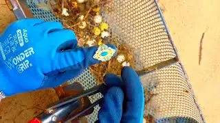 Beach Clean-Up: Found Coins & Jewelry in the Sand!