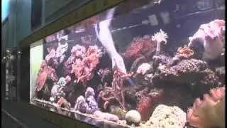Dallas Aquarium at Fair Park