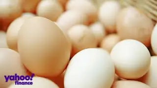 Why eggs are becoming more expensive, according to Vital Farms CEO