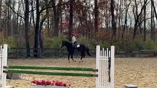 C LEYENDA - first time jumping 2&rsquo; course 