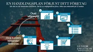 En Handlingsplan f&ouml;r just Ditt f&ouml;retag