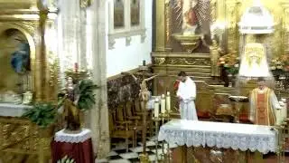+ VIERNES: PRESENTACIÓN DE LA BIENAVENTURADA VIRGEN MARÍA.