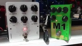 Testing AMT M1 Legend Amp