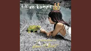 Kompisar