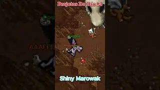 [PXG] Projetos do Dia #3 #pxg  #pokexgames  #pokemon  #pokemononline  #poketibia  #rpg  #viral
