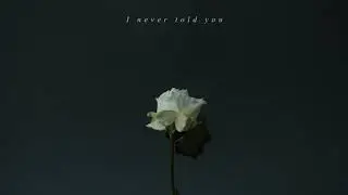 The Howl & The Hum - Until I Found A Rose (Lyric Video)