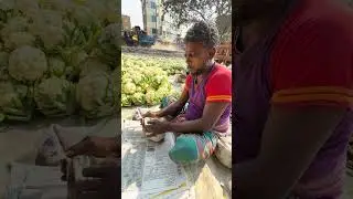 ফুলকপি পেকেজিং করছে। #agriculture