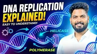 DNA replication | NEET & Class 12 | Molecular Genetics | #cbse12thbiology #ncert #neet
