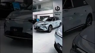 Leapmotor C11｜Next-Level Smart SUV with 60