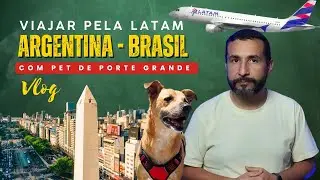 LEVANDO PET DA ARGENTINA PARA O BRASIL | Viagem internacional com pet de porte m&eacute;dio 