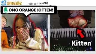 Я играл в КРЫСИНЫЙ ТАНЕЦ с КОТЁНКОМ на Omegle