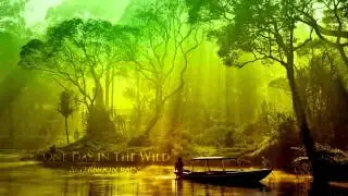 Afternoon Rain [One Day In The Wild] (symphonic, upbuilding)