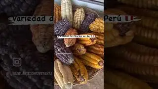 Variedad de choclos en mi Per&uacute; 🇵🇪 #AdelanteconEsperanza #maiz #saludable #choclo #salud #vida #fyp
