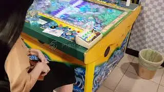 5000 Gun Fish table arcade skill game machine Seafood Paradise with jackpot Live Play show