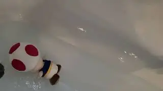 SBB Toad takes a bath