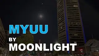 Myuu by Moonlight: (A Homage to a Great Musician (Moonlight Menschen, Scent of Night, Full Moon)