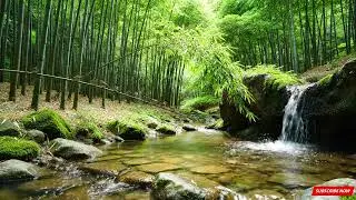 Beautiful Relaxing Music for the Heart and Blood Vessels 🍃 Great Healing Music for the Soul