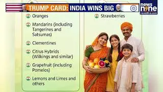 India-US interim trade deal: what India gave, what it protected in agriculture