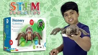 Discovery RC TARANTULA Unboxing and Play