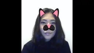 Creating Snapchat like filters from scratch using Computer Vision Techniques