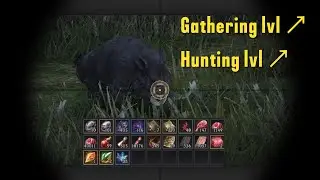 I Tried Sniper Hunting With 1k EXP and 3k Mastery in BDO to Get Forest Crystals
