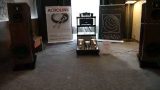Ypsilon @ Mastersound evolution 845 @  MHES-2014 Holiday Inn 1-3 November