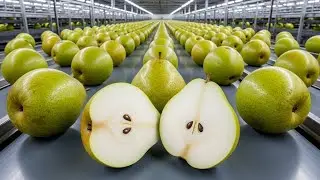 From Asian Pear Farms to Glass Bottles &mdash; Pear Juice Production Explained
