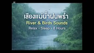 River & Birds Sounds 🌧️ Relaxing Nature Sounds for Sleep 