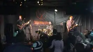 11   Plaid Menagerie