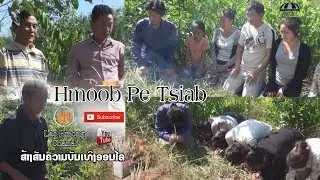 Pe tsiab 30