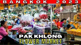 BANGKOK LARGEST FLOWER MARKET - PAK KHLONG | THAILAND BEST MARKETS | WALKING TOUR