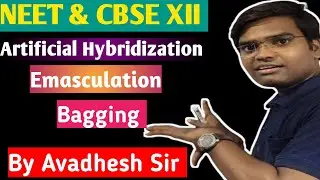 Sexual reproduction in Flowering Plants ll Artificial Hybridization ll Emasculation ll Bagging ll 
