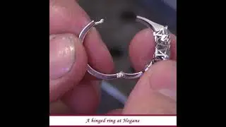 Hogan's Hinged Ring