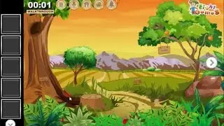 Cold Bear Forest Escape walkthrough EightGames.