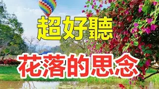 新歌！ 新歌！ 一首非常好聽的《紅顏花落的思念》，癡情感人的歌聲，句句落淚聽完！ 給生活加點糖Chinese scenery