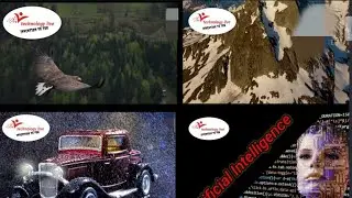 Eagle is the king of all birds .|| Artificial   intelligence is the future.|| highest rainfall.