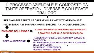 L'ORGANIZZAZIONE AZIENDALE