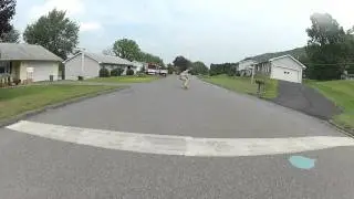 Brett almost dies