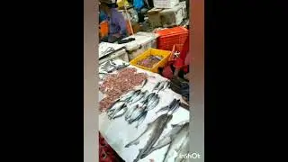 Fish Market Janta Market Bhandup Mumbai